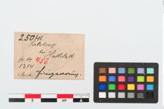 Etiketten zu Bronzevolutenfingerring (NHMW-PRAE-025041)